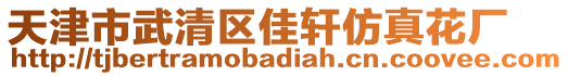 天津市武清区佳轩仿真花厂