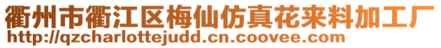 衢州市衢江區(qū)梅仙仿真花來料加工廠