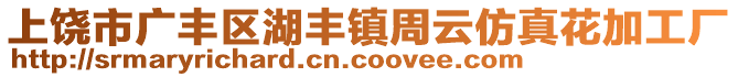 上饒市廣豐區(qū)湖豐鎮(zhèn)周云仿真花加工廠