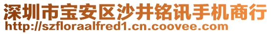 深圳市寶安區沙井銘訊手機商行