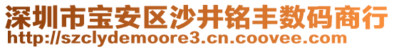 深圳市寶安區沙井銘豐數碼商行