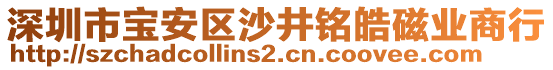 深圳市寶安區沙井銘皓磁業商行