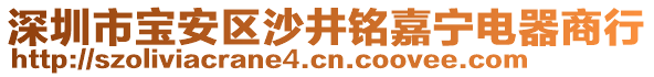 深圳市寶安區沙井銘嘉寧電器商行