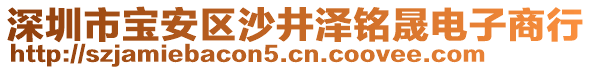 深圳市寶安區(qū)沙井澤銘晟電子商行