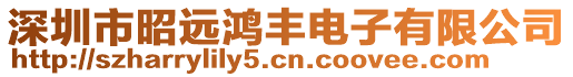 深圳市昭遠鴻豐電子有限公司
