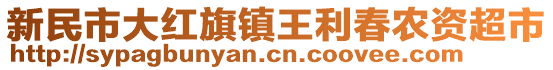 新民市大紅旗鎮(zhèn)王利春農(nóng)資超市