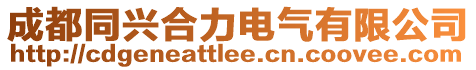成都同興合力電氣有限公司