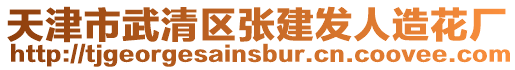 天津市武清區(qū)張建發(fā)人造花廠