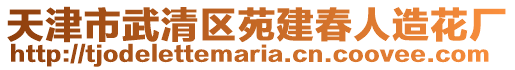 天津市武清區苑建春人造花廠