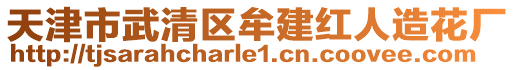 天津市武清區牟建紅人造花廠