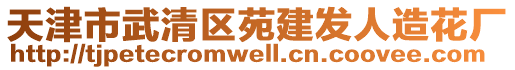 天津市武清區苑建發人造花廠