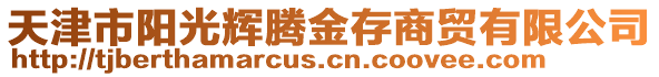 天津市陽光輝騰金存商貿有限公司