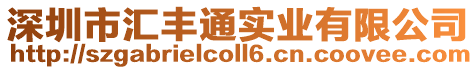 深圳市匯豐通實業有限公司