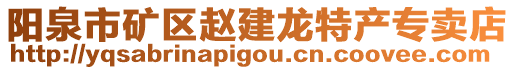 陽泉市礦區趙建龍特產專賣店