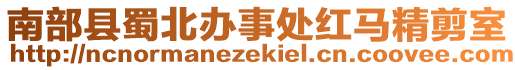 南部縣蜀北辦事處紅馬精剪室