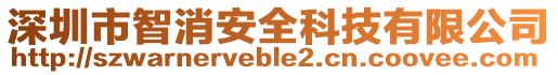 深圳市智消安全科技有限公司