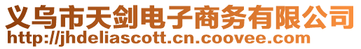 義烏市天劍電子商務(wù)有限公司