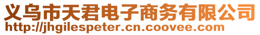 義烏市天君電子商務(wù)有限公司