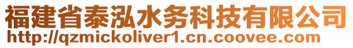 福建省泰泓水务科技有限公司