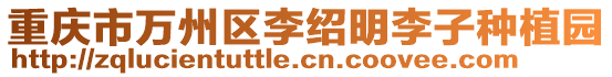 重庆市万州区李绍明李子种植园