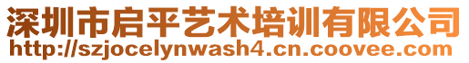 深圳市啟平藝術(shù)培訓(xùn)有限公司