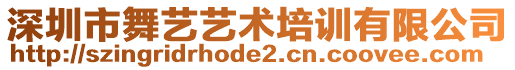 深圳市舞藝藝術(shù)培訓(xùn)有限公司