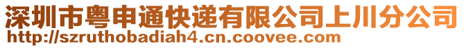 深圳市粵申通快遞有限公司上川分公司