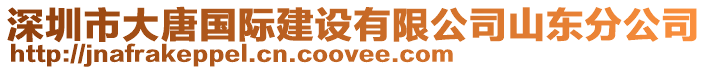 深圳市大唐國(guó)際建設(shè)有限公司山東分公司