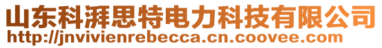 山東科湃思特電力科技有限公司