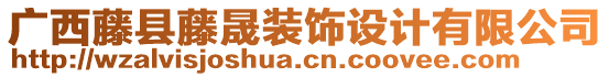 廣西藤縣藤晟裝飾設計有限公司