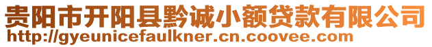 貴陽市開陽縣黔誠(chéng)小額貸款有限公司