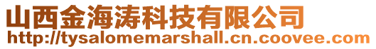 山西金海濤科技有限公司
