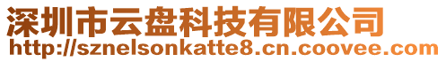 深圳市云盤科技有限公司