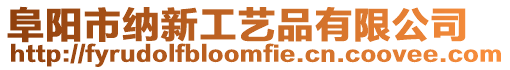 阜陽(yáng)市納新工藝品有限公司