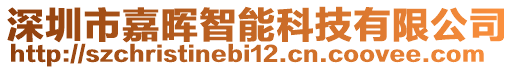 深圳市嘉暉智能科技有限公司