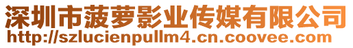 深圳市菠蘿影業(yè)傳媒有限公司