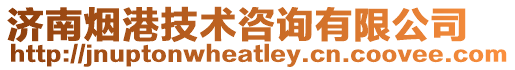 濟南煙港技術咨詢有限公司