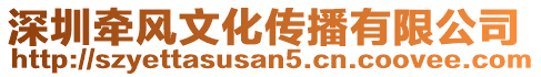 深圳牽風(fēng)文化傳播有限公司