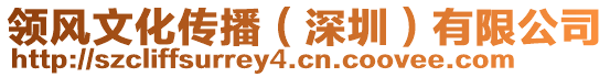 領風文化傳播(深圳)有限公司