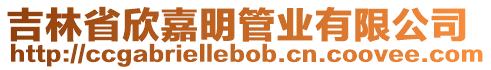 吉林省欣嘉明管業有限公司
