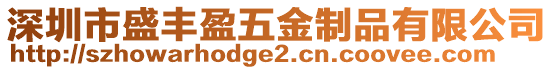 深圳市盛豐盈五金制品有限公司