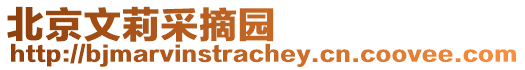 北京文莉采摘園