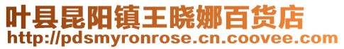 葉縣昆陽鎮(zhèn)王曉娜百貨店