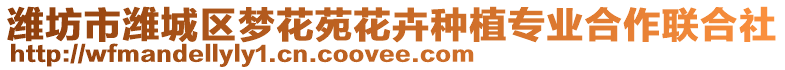 濰坊市濰城區(qū)夢花苑花卉種植專業(yè)合作聯(lián)合社