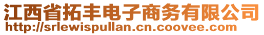 江西省拓豐電子商務(wù)有限公司