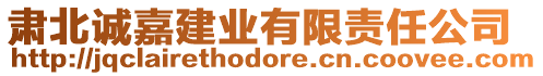 肅北誠(chéng)嘉建業(yè)有限責(zé)任公司