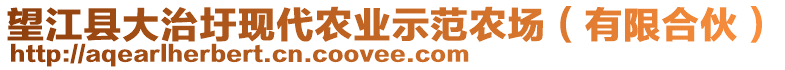 望江縣大治圩現(xiàn)代農(nóng)業(yè)示范農(nóng)場（有限合伙）