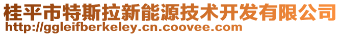 桂平市特斯拉新能源技術(shù)開發(fā)有限公司