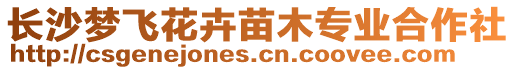 長沙夢飛花卉苗木專業合作社