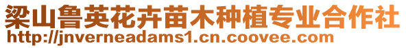 梁山魯英花卉苗木種植專業(yè)合作社